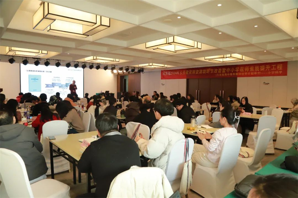 图片4
